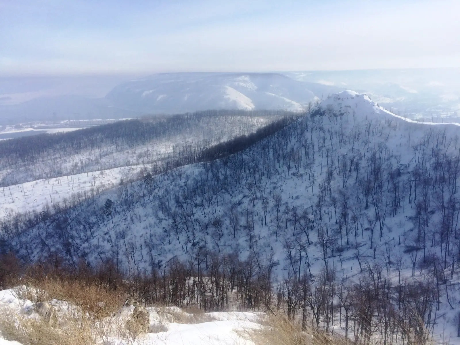 Самарская Лука: влюбиться в волжские панорамы!